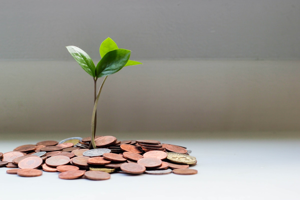 Wealth, planning & investments — Swiss Stocks Corp.